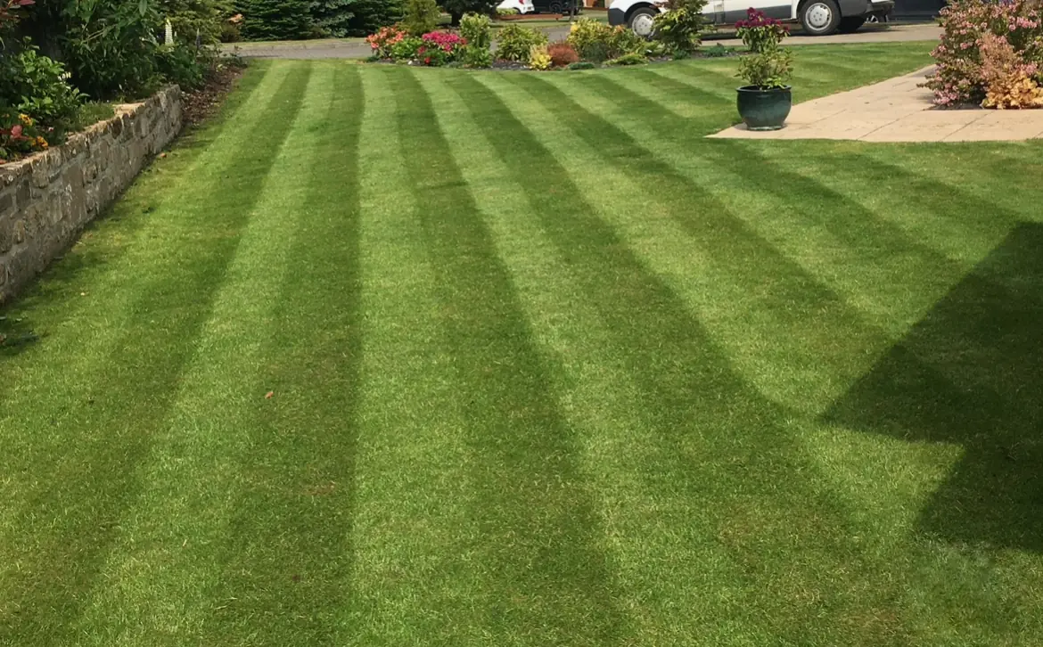 Well-manicured lawn with professional striping
